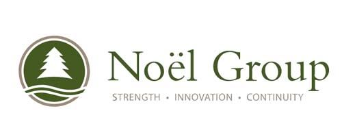 Logo Noël Group