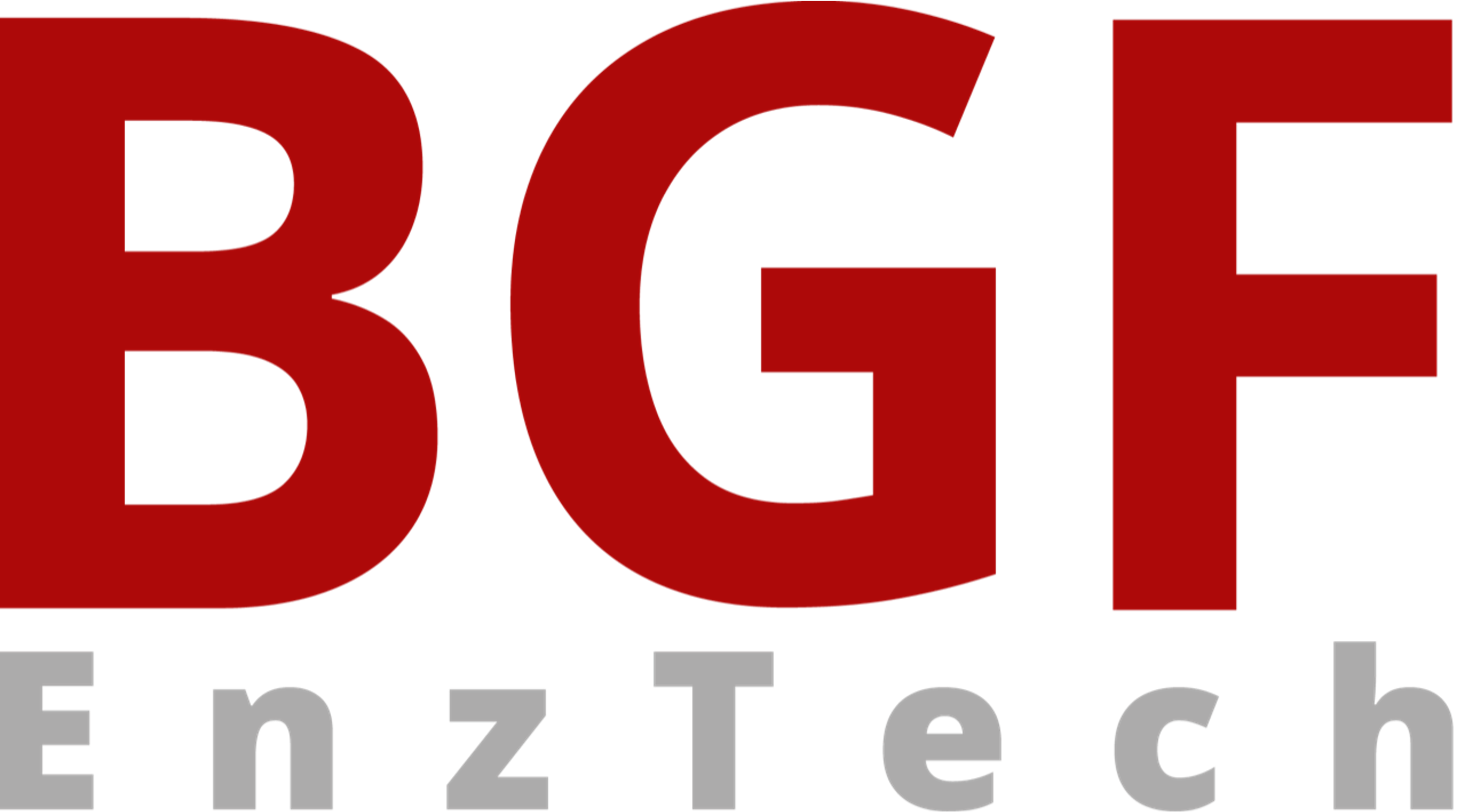 Logo BGF Enztech